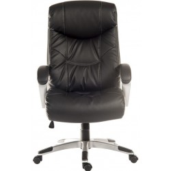 Siesta Executive Office Chair Front View