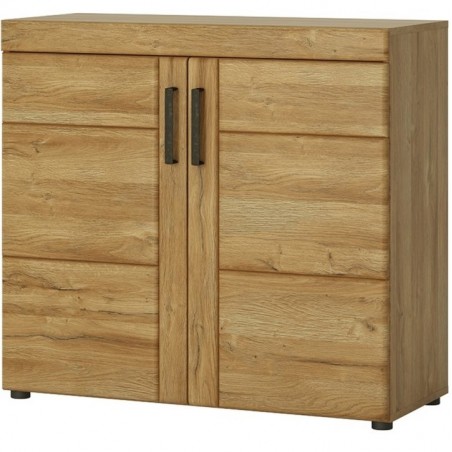 Skipton 2 Door Cabinet in grandson oak colour, angle view