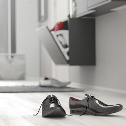 Barden Shoe Cabinet with 1 Tilting Door and 2 Layers - Matt Black Mood Shot 2