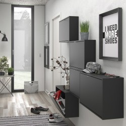 Barden Shoe Cabinet with 1 Tilting Door and 2 Layers - Matt Black Room shot 2