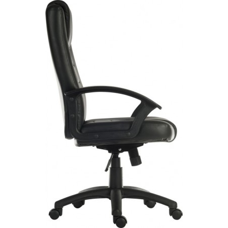 Lodares Executive Office Chair Side View