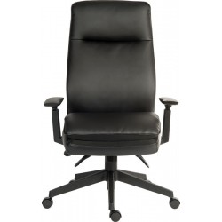 Plush Ergo Executive Office Chair Front View