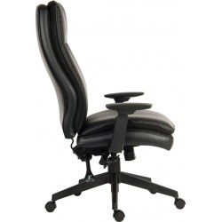Plush Ergo Executive Office Chair Side View