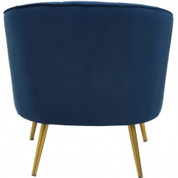 Yolanda Velvet Upholstered Armchair - Blue Rear View