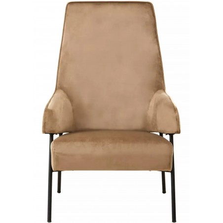 Henia Velvet Upholstered Accent Chair - Mink Front View