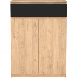 Naia Two Door One Drawer Shoe Cabinet Hickory Oak Front View