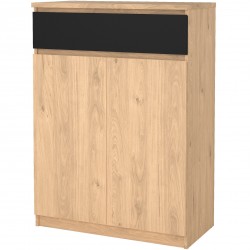 Naia Two Door One Drawer Shoe Cabinet Hickory Oak Angled View