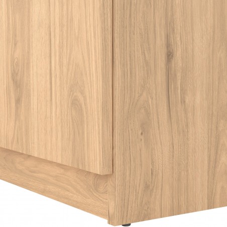 Naia Two Door One Drawer Shoe Cabinet Hickory Oak base detail
