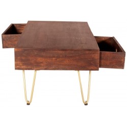 Tanda Dark Gold Rectangular Coffee Table, two drawer detail