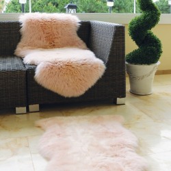 Indra Blush Pink Sheepskin Rug Room Shot