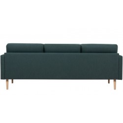 Dark green sofa, rear view